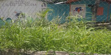 Al Liceo Bolivariano «Ciudad de Valera» se lo está «comiendo el monte»