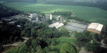 DUSA arriba a su 20° aniversario