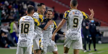 Aurinegros en caída libre