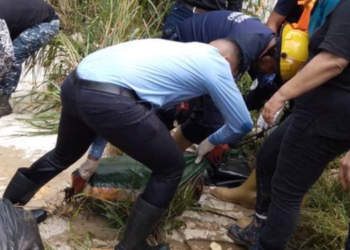 Asesinada y descuartizada en Carabobo: Todo sobre el caso de la doctora Nerdy Mora
