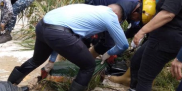 Asesinada y descuartizada en Carabobo: Todo sobre el caso de la doctora Nerdy Mora