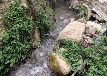 Inaguantables olores nauseabundos en Miticún y “Joya de Román” en Boconó