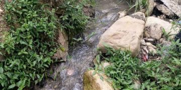 Inaguantables olores nauseabundos en Miticún y “Joya de Román” en Boconó