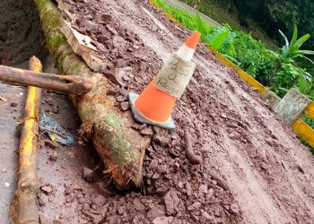 Táchira | Comunidad de zona productora en San Cristóbal trabaja para rehabilitar la movilidad en el sector