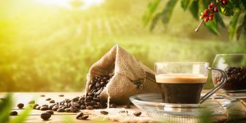 De la planta a la taza