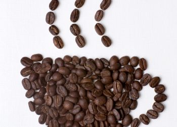 El Café de la A a la Z  |  Glosario para entender mejor el mundo cafetero