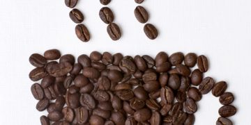 El Café de la A a la Z  |  Glosario para entender mejor el mundo cafetero