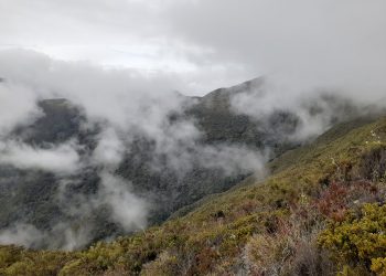 Paraíso entre montañas: Primer aniversario del Parque nacional Doctor José Gregorio Hernández (Ramal de Calderas)