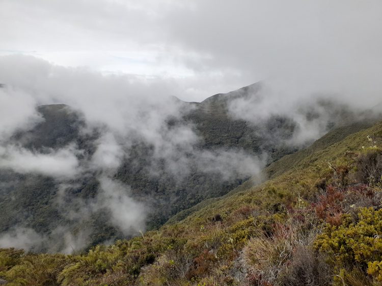 Parque Nacional Ramal de Calderas. Boconó. Foto: Cortesía