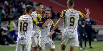 SINTESIS DEPORTIVA | A enfocarse |  Por Avelino Avancin