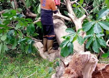 Protección Civil realizó balance de los daños causados por las lluvias en Trujillo