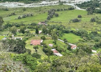 Realidad del Café en Trujillo | El futuro del café apunta al regreso de los viejos estándares de producción con visión tecnológica