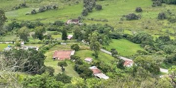 Realidad del Café en Trujillo | El futuro del café apunta al regreso de los viejos estándares de producción con visión tecnológica