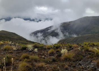Día internacional de los Parques Naturales: Descubre las especies animales más sorprendentes de los Parques de Trujillo