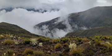 Día internacional de los Parques Naturales: Descubre las especies animales más sorprendentes de los Parques de Trujillo