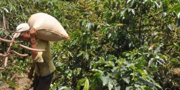 Pérez Rueda: Entregar un millón de hectáreas a Irán sería un acto de nulidad absoluta