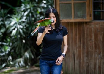 Una pequeña cabaña escondida, refugio de la fauna silvestre venezolana