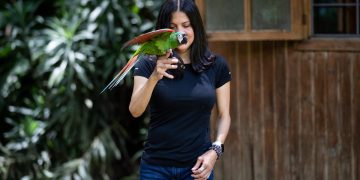 Una pequeña cabaña escondida, refugio de la fauna silvestre venezolana
