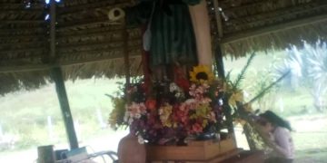 San Isidro de Betijoque sigue visitando comunidades y fincas en producción