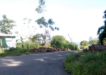 Dirigencia de AD actualizó directiva del Comité Municipal Miranda