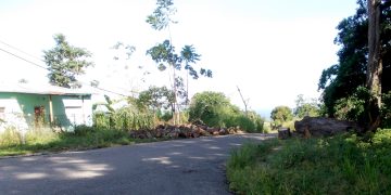 Dirigencia de AD actualizó directiva del Comité Municipal Miranda