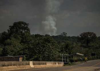 La deforestación avanza al ritmo de las excavadoras en la Amazonía de Brasil