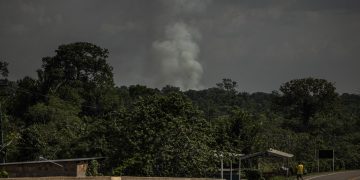 La deforestación avanza al ritmo de las excavadoras en la Amazonía de Brasil