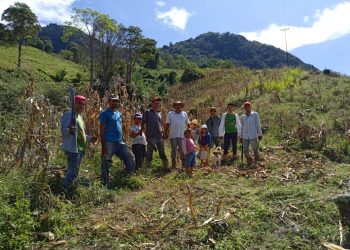 Denuncian que «terratenientes» buscan despojar de sus terrenos a familias en Candelaria