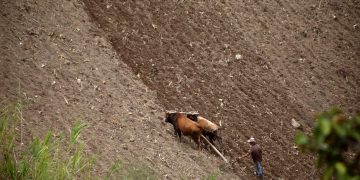 Ferieros de La Grita solicitan eliminar permisos  del protectorado para traslado de hortalizas