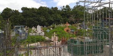 Sin descanso eterno: Cementerio municipal de Boconó en total abandono 