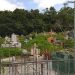 Sin descanso eterno: Cementerio municipal de Boconó en total abandono 