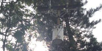 Un mes sin electricidad tienen en el sector Cacagual del municipio Escuque