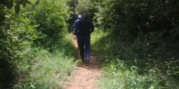 Continúan los enfrentamientos entre bandas delictivas y las Fapet