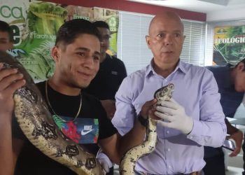Realizan curso de manejo adecuado de serpientes en Valera de la mano del Serpentario de Santos Bazó