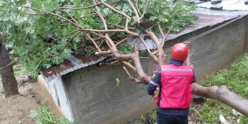 Fuertes precipitaciones dejan daños materiales en Trujillo