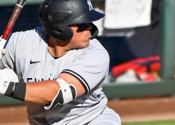 Andrés Chaparro se coronó en las menores con los Somerset Patriots