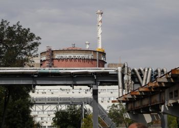 Macron y Zelenski insisten en pedir garantías para la seguridad de Planta Nuclear
