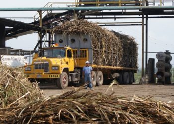 Motatán posee suficientes potencialidades para su crecimiento económico 