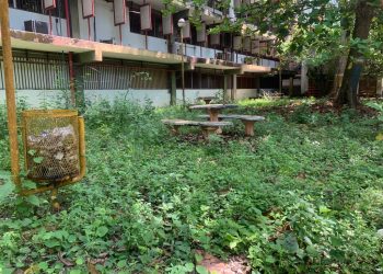 Sin autorización Alcalde de Pampanito entrega terrenos del Nurr para construcciones privadas