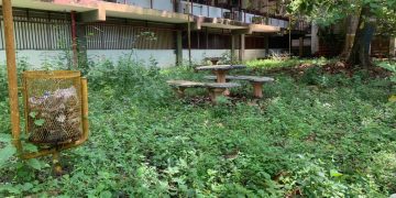 Sin autorización Alcalde de Pampanito entrega terrenos del Nurr para construcciones privadas