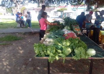 Beneficiadas 100 familias con “Feria de Venta y Hortalizas” en la Urbanización Bella Vista