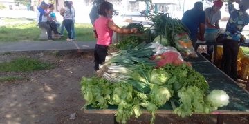 Beneficiadas 100 familias con “Feria de Venta y Hortalizas” en la Urbanización Bella Vista