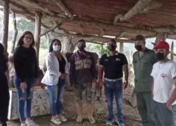 Gobierno de Trujillo atribuye a «ataque de murciélagos» la muerte de 15 animales en ganado de Boconó