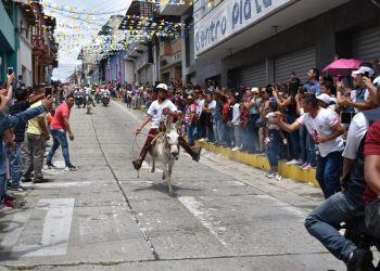 Más de diez mil personas disfrutaron de la tradicional carrera de burros en Tovar