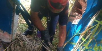 Bomberos ULA rescatan a dos jóvenes que cayeron en un talud de más de 30 metros