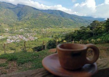 Pasión por el Café: Finca Don Bermejo brindó taller a los jóvenes de Boconó Models