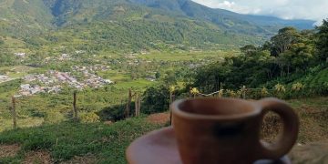 Pasión por el Café: Finca Don Bermejo brindó taller a los jóvenes de Boconó Models