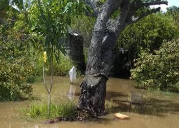 Inundadas calles y viviendas de Santa Apolonia, capital del municipio La Ceiba