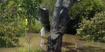 Inundadas calles y viviendas de Santa Apolonia, capital del municipio La Ceiba
