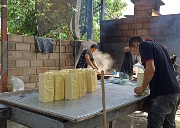 Denuncian que cortes eléctricos están afectando la producción de carne, queso  y leche en la zona norte del Táchira